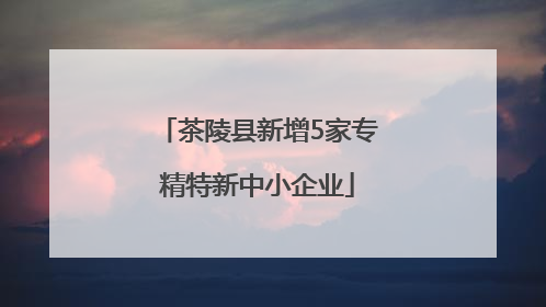 茶陵县新增5家专精特新中小企业