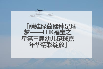 萌娃绿茵播种足球梦——LHK福宝之星第三届幼儿足球嘉年华精彩绽放