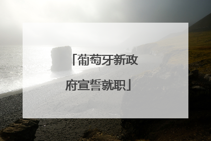 葡萄牙新政府宣誓就职