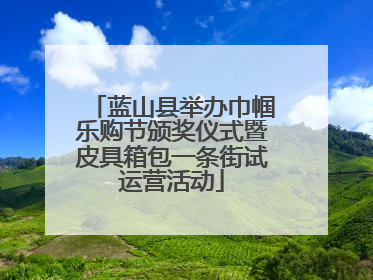 蓝山县举办巾帼乐购节颁奖仪式暨皮具箱包一条街试运营活动