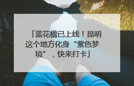 蓝花楹已上线！昆明这个地方化身“紫色梦境”，快来打卡