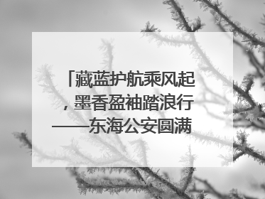 藏蓝护航乘风起，墨香盈袖踏浪行——东海公安圆满“交卷”