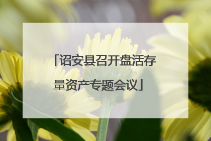 诏安县召开盘活存量资产专题会议