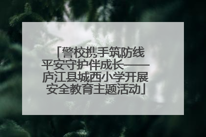 警校携手筑防线 平安守护伴成长——庐江县城西小学开展安全教育主题活动