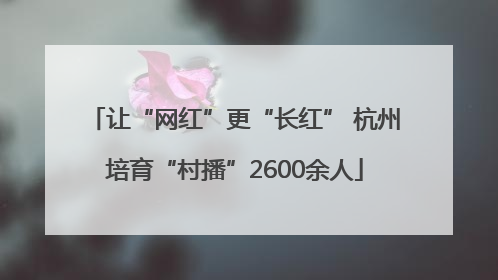 让“网红”更“长红” 杭州培育“村播”2600余人