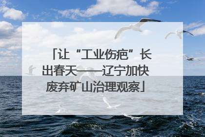 让“工业伤疤”长出春天——辽宁加快废弃矿山治理观察