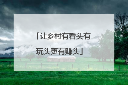 让乡村有看头有玩头更有赚头