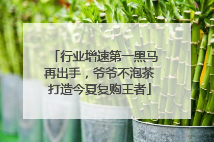 行业增速第一黑马再出手，爷爷不泡茶打造今夏复购王者