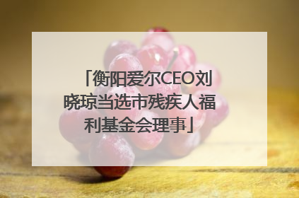 衡阳爱尔CEO刘晓琼当选市残疾人福利基金会理事