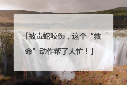 被毒蛇咬伤，这个“救命”动作帮了大忙！