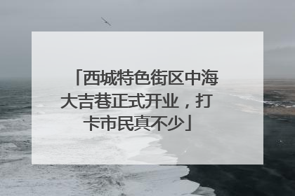 西城特色街区中海大吉巷正式开业，打卡市民真不少