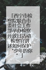 西宁市检察院联合市委社会工作部举办检察开放日活动 检察官讲述如何保护“少年的你”