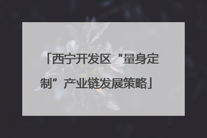 西宁开发区“量身定制”产业链发展策略