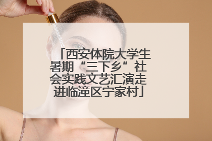 西安体院大学生暑期“三下乡”社会实践文艺汇演走进临潼区宁家村