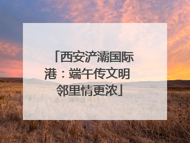 西安浐灞国际港：端午传文明 邻里情更浓