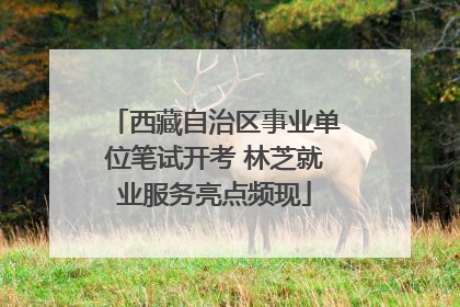 西藏自治区事业单位笔试开考 林芝就业服务亮点频现