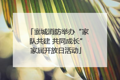 襄城消防举办“家队共建 共同成长”家属开放日活动