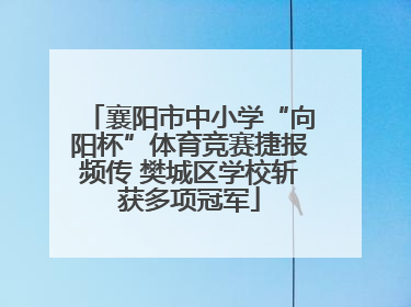 襄阳市中小学“向阳杯”体育竞赛捷报频传 樊城区学校斩获多项冠军