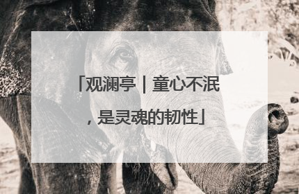 观澜亭｜童心不泯，是灵魂的韧性
