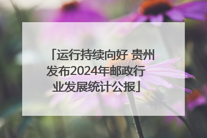 运行持续向好 贵州发布2024年邮政行业发展统计公报