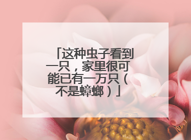 这种虫子看到一只，家里很可能已有一万只（不是蟑螂）