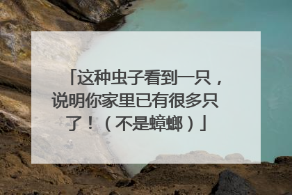 这种虫子看到一只，说明你家里已有很多只了！（不是蟑螂）