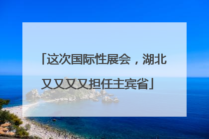 这次国际性展会，湖北又又又又担任主宾省