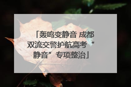 轰鸣变静音 成都双流交警护航高考“静音”专项整治