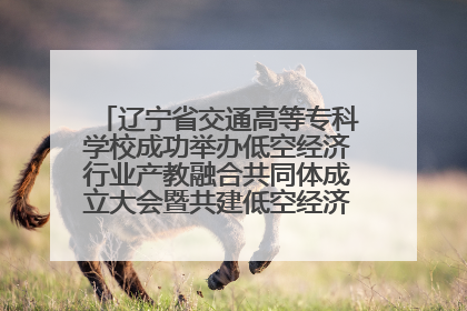 辽宁省交通高等专科学校成功举办低空经济行业产教融合共同体成立大会暨共建低空经济产教融合新生态论坛