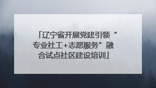 辽宁省开展党建引领“专业社工+志愿服务”融合试点社区建设培训
