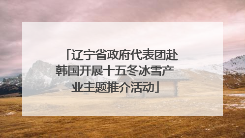 辽宁省政府代表团赴韩国开展十五冬冰雪产业主题推介活动