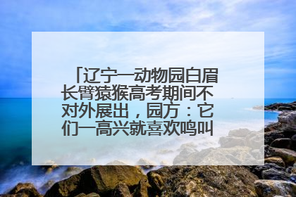 辽宁一动物园白眉长臂猿猴高考期间不对外展出，园方：它们一高兴就喜欢鸣叫，怕影响考试
