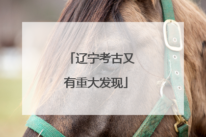 辽宁考古又有重大发现