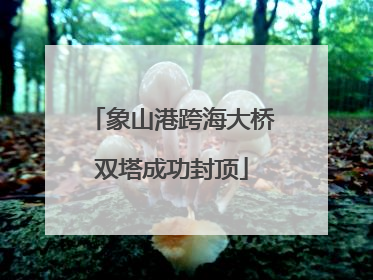 象山港跨海大桥双塔成功封顶