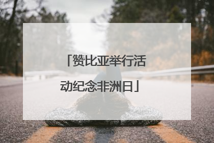 赞比亚举行活动纪念非洲日
