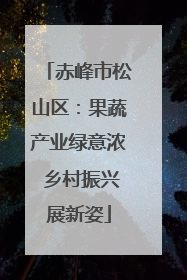 赤峰市松山区：果蔬产业绿意浓 乡村振兴展新姿
