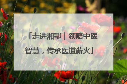 走进湘鄂｜领略中医智慧，传承医道薪火