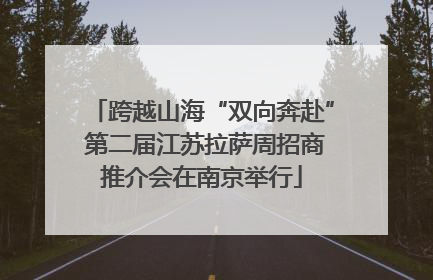 跨越山海“双向奔赴” 第二届江苏拉萨周招商推介会在南京举行