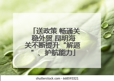 送政策 畅通关 稳外贸 昆明海关不断提升“解题”、护航能力