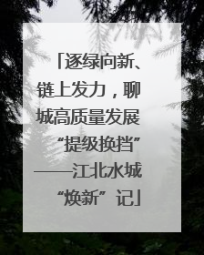 逐绿向新、链上发力，聊城高质量发展“提级换挡”——江北水城“焕新”记