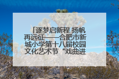 逐梦启新程 扬帆再远征——合肥市新城小学第十八届校园文化艺术节“戏曲进校园专场演出”