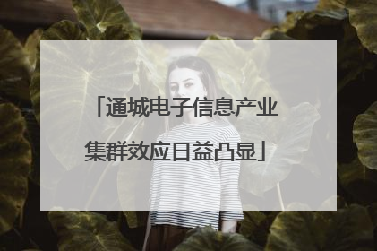 通城电子信息产业集群效应日益凸显