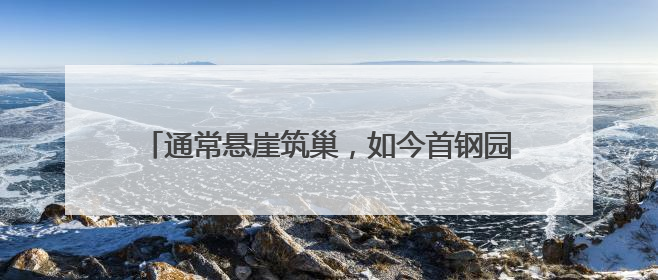 通常悬崖筑巢，如今首钢园安家！还孵出10只萌宝宝