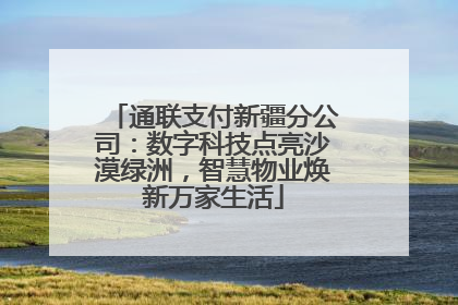 通联支付新疆分公司：数字科技点亮沙漠绿洲，智慧物业焕新万家生活