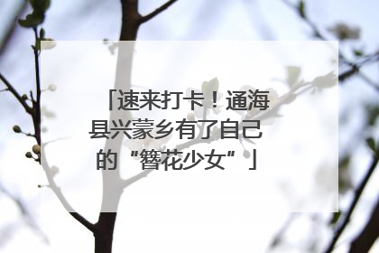 速来打卡！通海县兴蒙乡有了自己的“簪花少女”