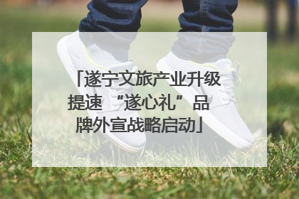 遂宁文旅产业升级提速 “遂心礼”品牌外宣战略启动