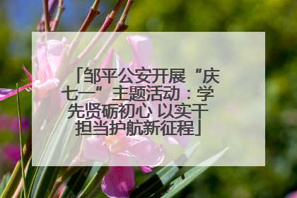 邹平公安开展“庆七一”主题活动：学先贤砺初心 以实干担当护航新征程