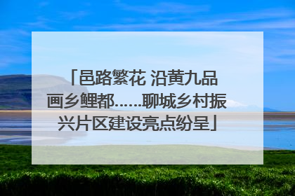 邑路繁花 沿黄九品 画乡鲤都……聊城乡村振兴片区建设亮点纷呈