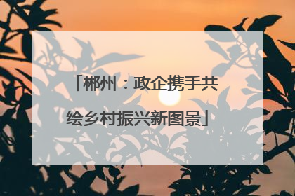 郴州：政企携手共绘乡村振兴新图景