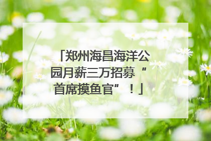 郑州海昌海洋公园月薪三万招募“首席摸鱼官”！